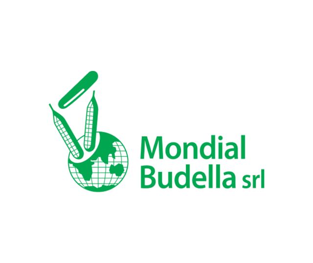 Logo Mondial Budella